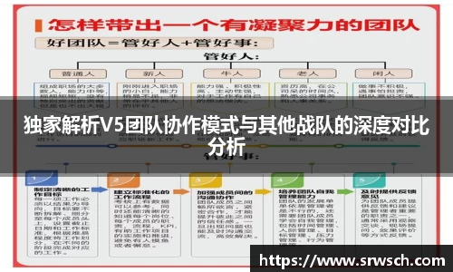 独家解析V5团队协作模式与其他战队的深度对比分析
